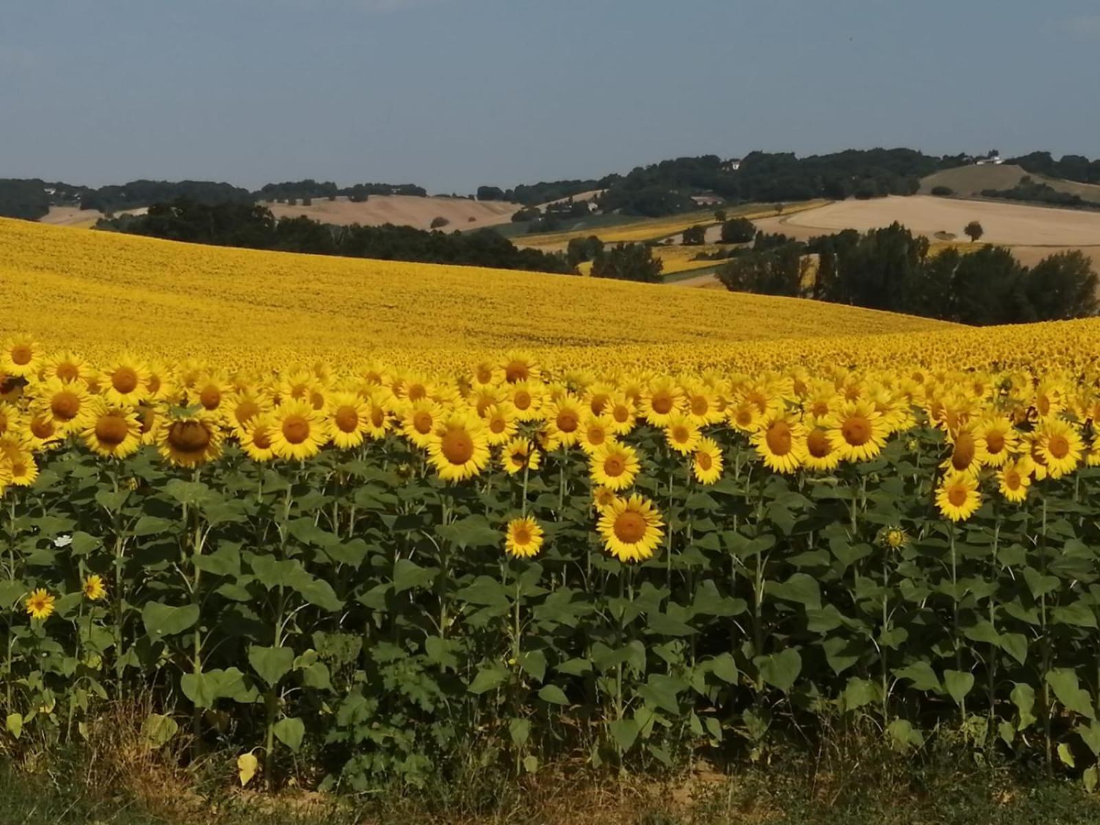 Homestay Saint-gervais